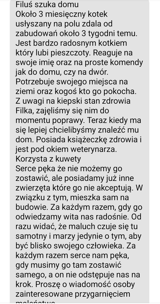 znieczuliica's tweet photo. ✨️RT DLA ZASIĘGU✨️
Moja przyjaciółka niedawno znalazla wyrzuconego w pole kotka, uratowała mu życie ponieważ kiciuś był ciężko chory - obecnie jest pod stałą kontrolą weterynarza, a gotowy do odbioru będzie dopiero po ukończeniu leczenia - niestety maluch nie może z nią https://t.co/AGqwrBjvHz