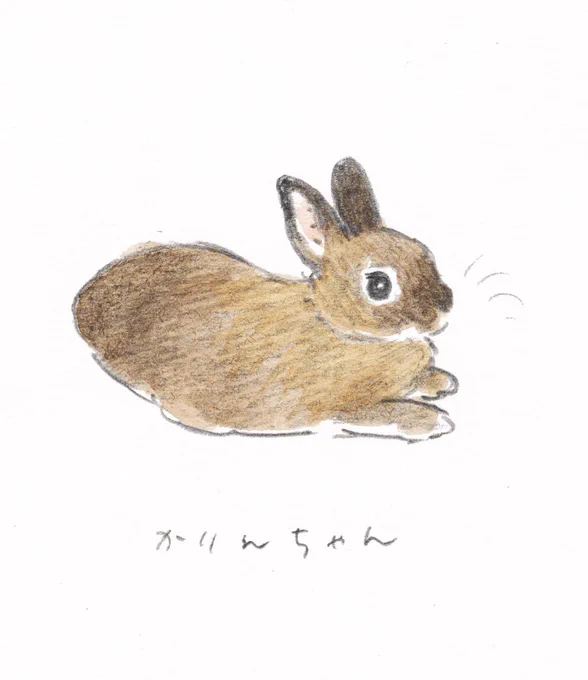 9/25私のうさぎ展、参加します。似顔絵を描いて欲しいかたは事前予約が要るので詳細をお読みください  
