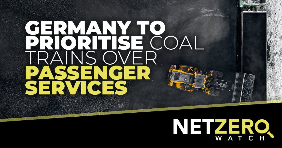 Net Zero Watch tweet media