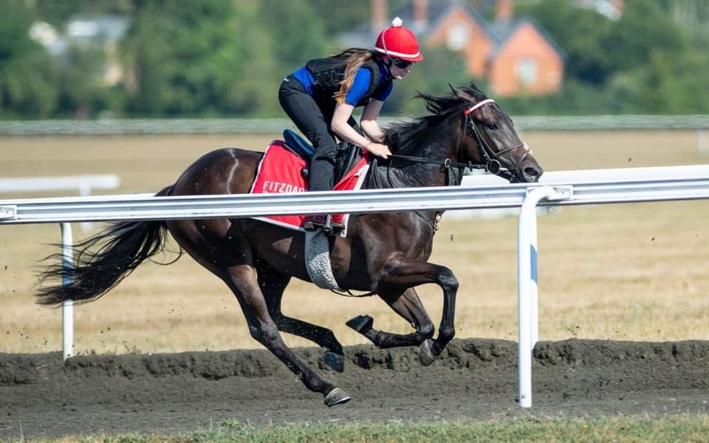 OldGoldRacing's tweet photo. A Fizzy date❤️🐎

Attention all Fitz Perfectly owners, we've got an exciting day planned for you on the 24th September 🤩

Read all about it here: https://t.co/LN0tcMHLsn

#fitzperfectly #MondayMotivation #HorseRacingTips #HorseRacing https://t.co/Ri9zoAQXBx