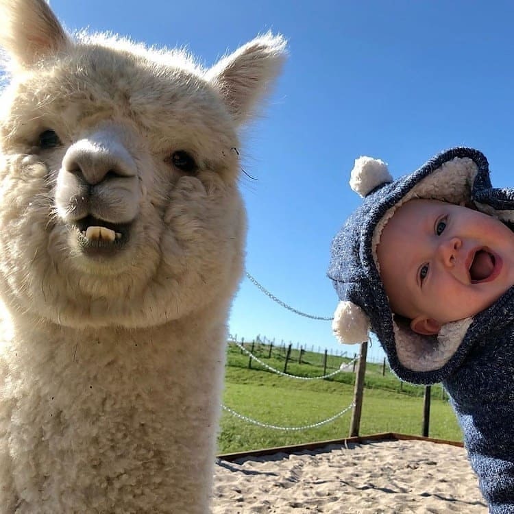 yumnah_elkhabir's tweet photo. How cute... https://t.co/dnovdrUslU