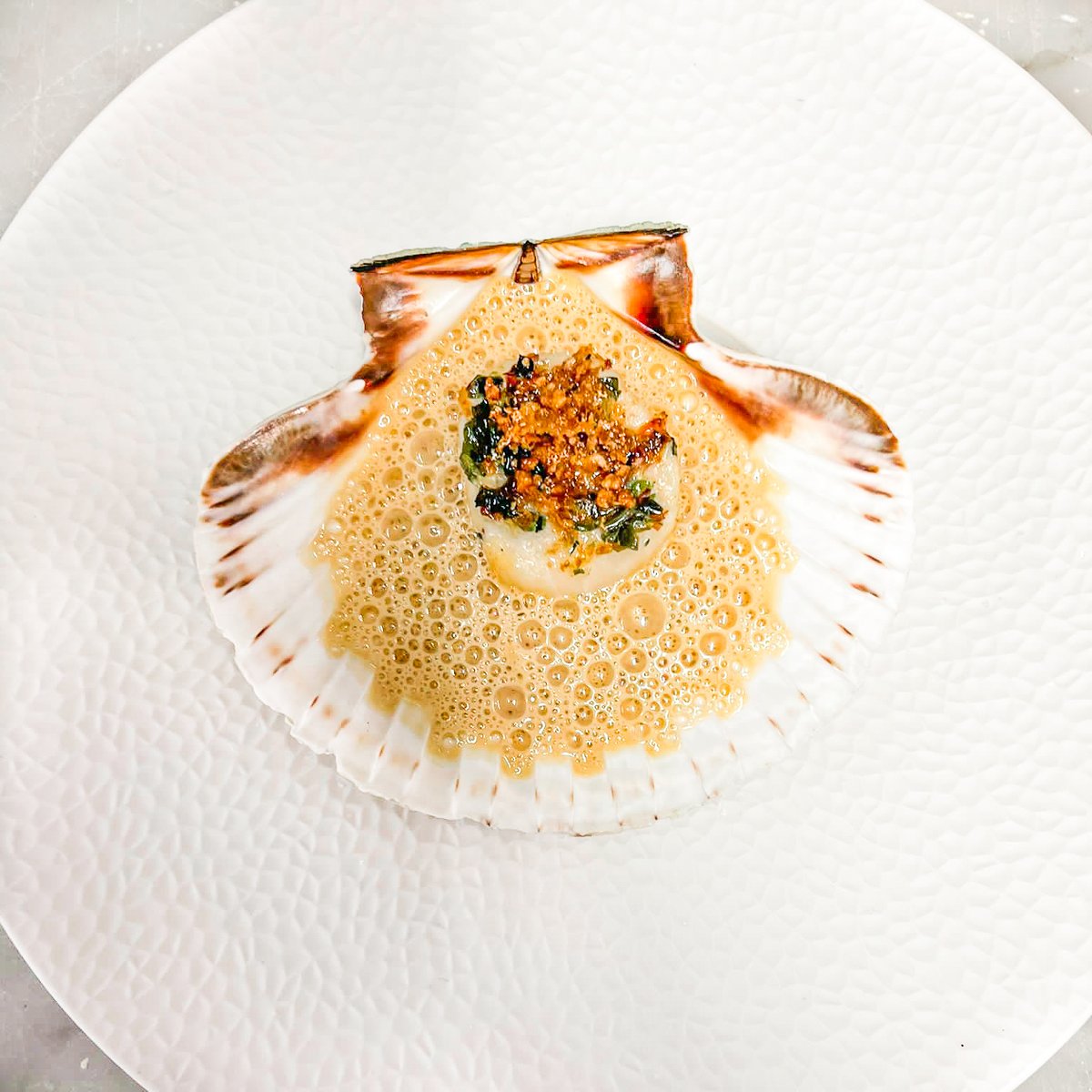 FischersBaslow's tweet photo. SCALLOP with Seaweed / Yeast Crumb / Lemon Grass &amp; Ginger
This magnificent dish will soon be available exclusively at Fischer's, which was recently awarded Taste of England by Visit England. 

#Fischers #UniqueDistrict #ChefsTable #DishDevlopment #Balow  #VisitEngland #BaslowHall https://t.co/9UVBi9Ver6