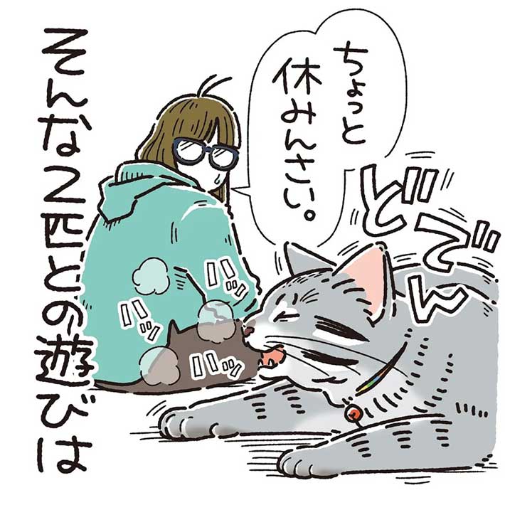 クールでおとなしい猫が豹変! 兄弟猫の『性格の違い』が、可愛くて癒される https://t.co/LIrPw965LA @grapeejpより 