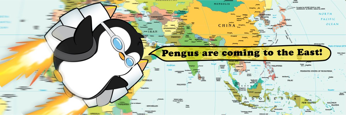 Pudgy Asia🐧 tweet media