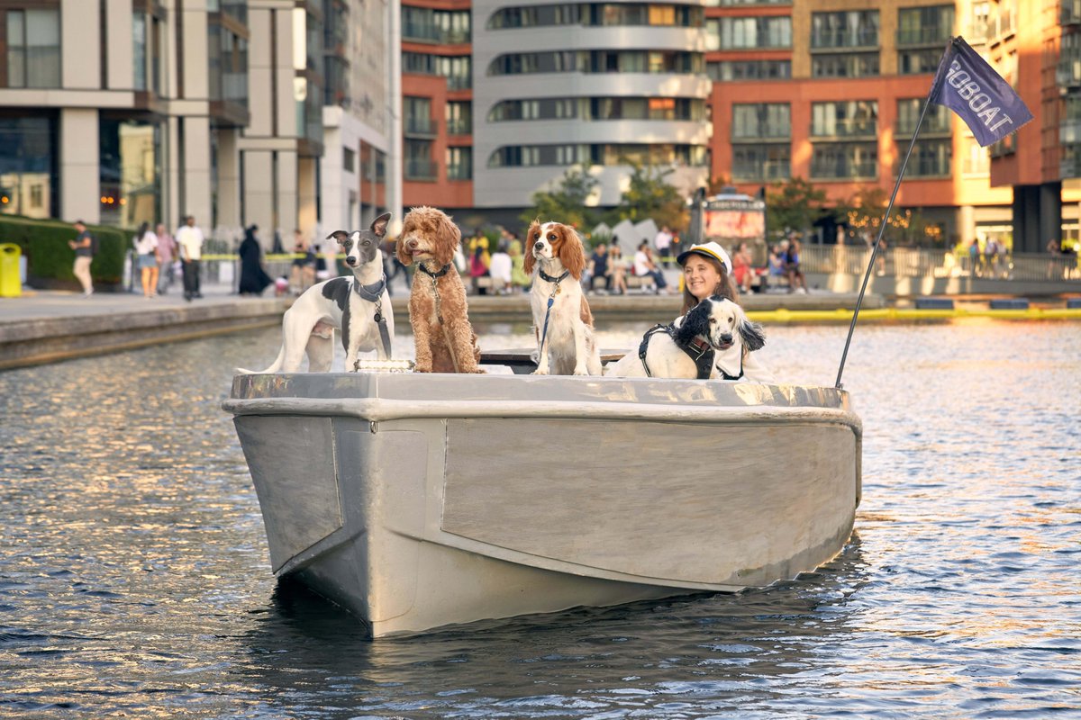 Grand Union Paddington tweet media