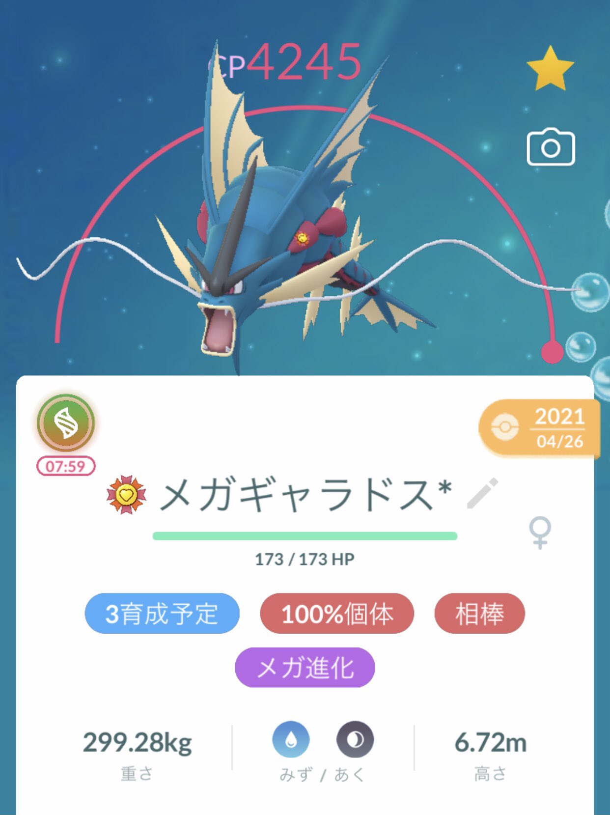 メガギャラドス Twitter Search Twitter