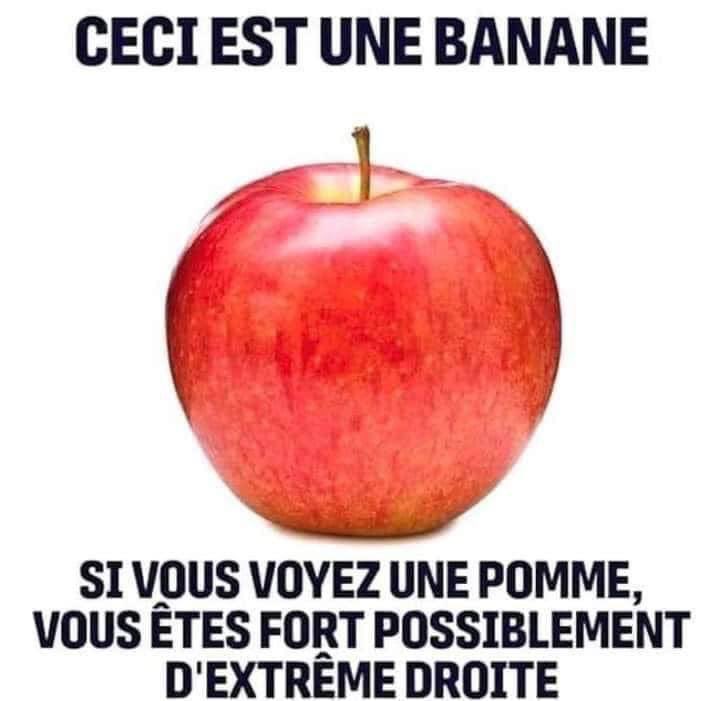 Pierre_GTIL's tweet image. 