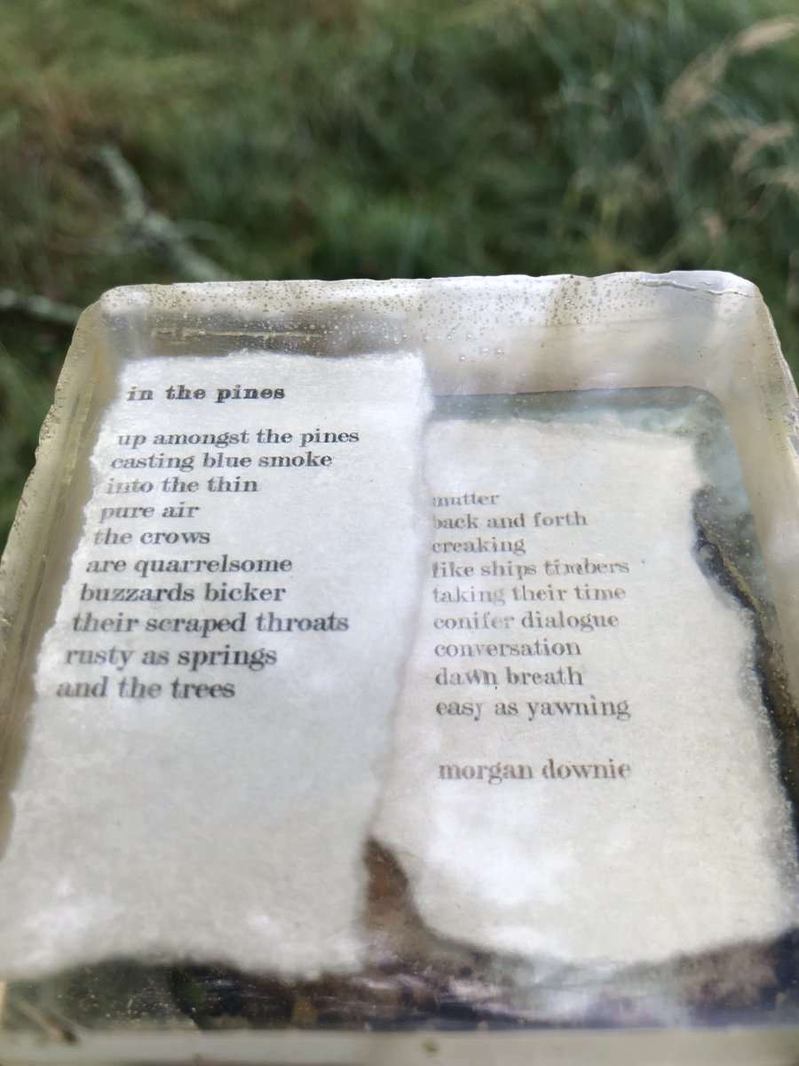 PKCTrust's tweet photo. Have you visited #Corbenic #Poetry Path? We popped out for a visit last week, and it was stunning! What a fascinating walk through #countryside w/incredible poetry features paired up w/#nature. We highly recommend it!
#dunkeld #birnam #perthshire #poetrypath #outdoors #Words https://t.co/PomfHBPvwE