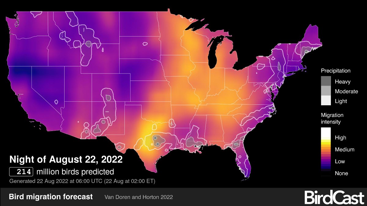 Fall migration has started! If you find an injured bird anywhere in the Chicago area, please call our hotline (773-988-1867). Have paper bags and paper clips on hand to contain injured birds until a volunteer arrives. We can save birds together. We got this!