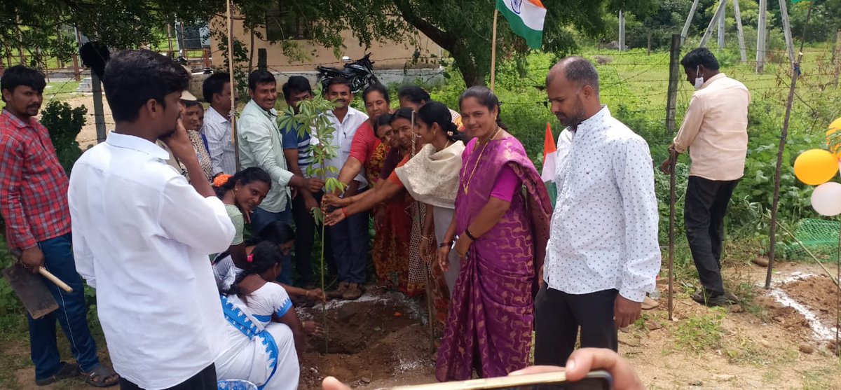 mpdo_dornakal's tweet photo. Swatantra Bharata Vajrosthavalu 
Spl Massive Plantation at Dornakal Mandal https://t.co/XHEgN79eE1