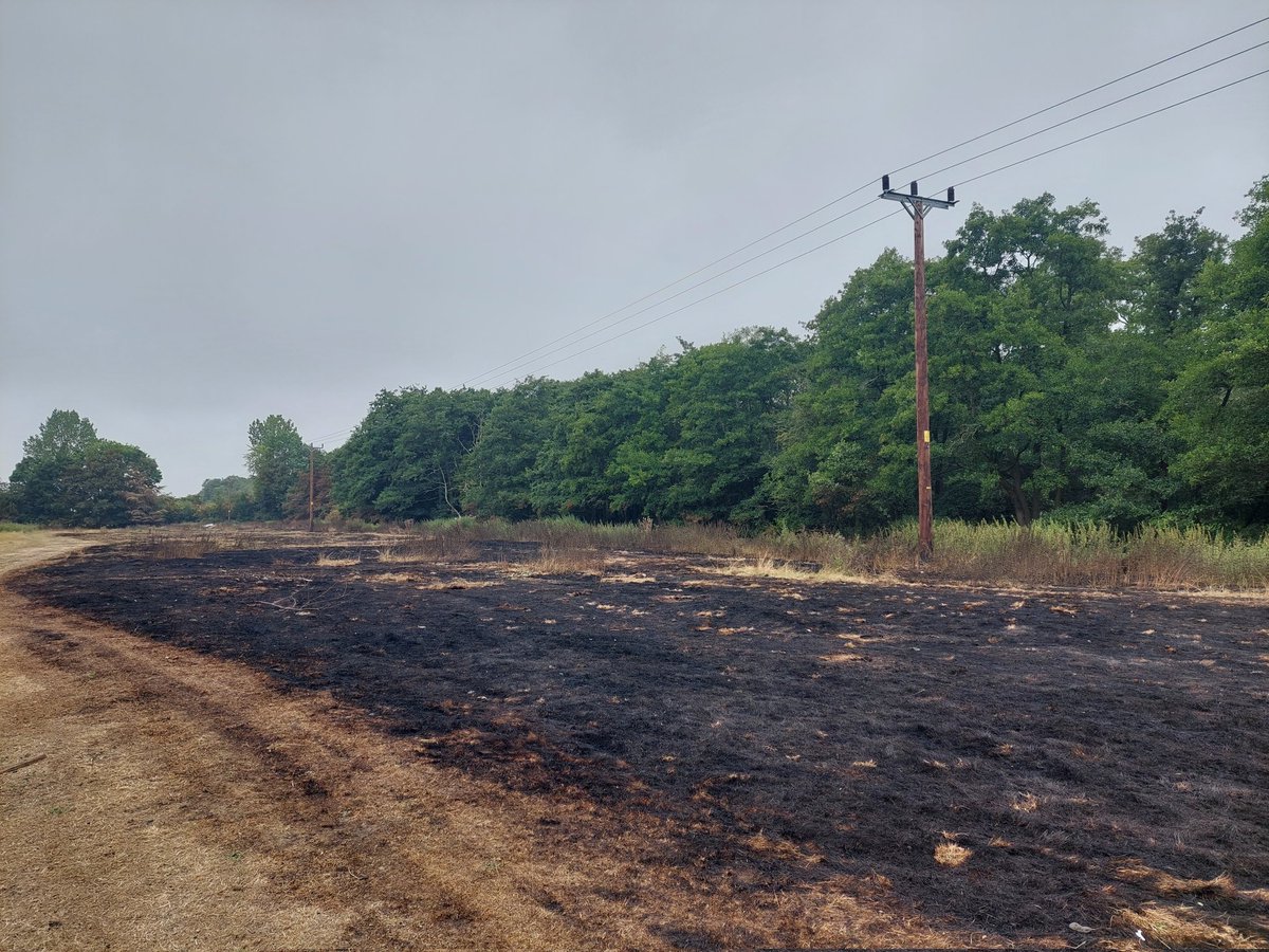 Tom Hall tweet media