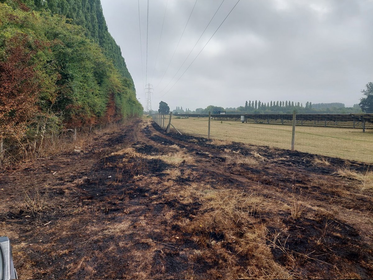 Tom Hall tweet media