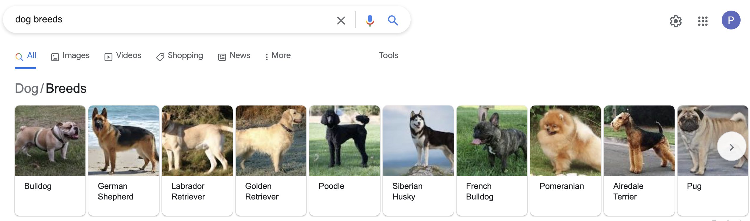 LowFruits on Twitter "Tip of the day 🎉 Niche down to increase your