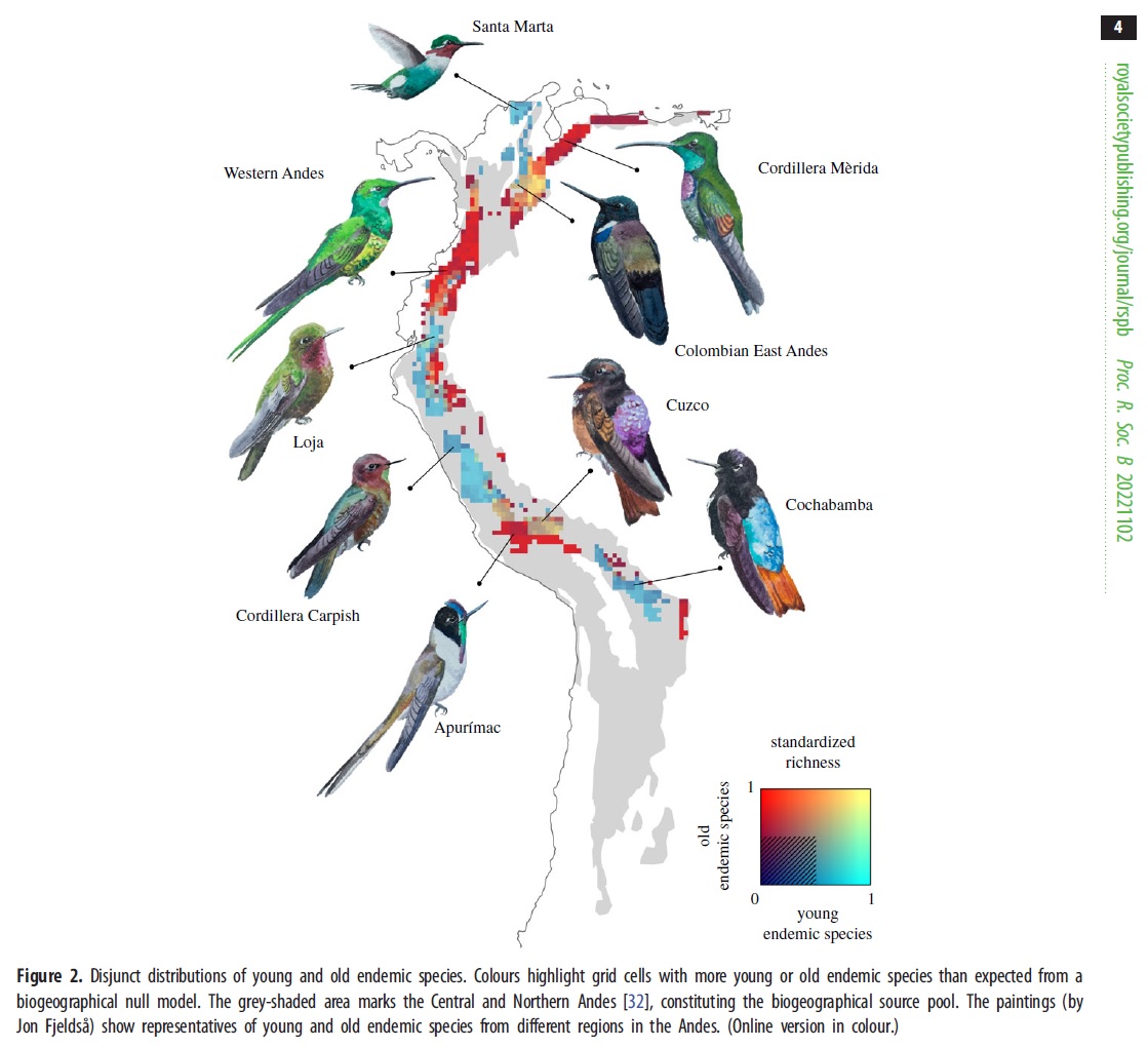 Our new paper out on # Andean #Biodiversity #hotspots 
Contrary to classic expectations, we show that young and old #endemicspecies segregate between valleys and elevational zones.
First-authored by <a href="/JesperSonne1/">Jesper Sonne</a>
<a href="/Macroecology/">CMEC</a> <a href="/VILLUMscience/">Science at VILLUM</a> <a href="/mkborregaard/">Michael Borregaard</a> 
royalsocietypublishing.org/doi/abs/10.109…