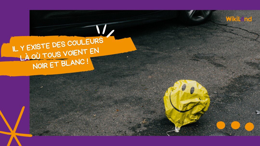 Wiki_land's tweet photo. Défi de la semaine : voir des couleurs là où tout semble gris 🌈

Excellente #semaine  à tous 🌼🌞❤️ !!!

#sourire #sourirealavie 
#positive #positivevibes #positiveattitude https://t.co/IIourHsPO3