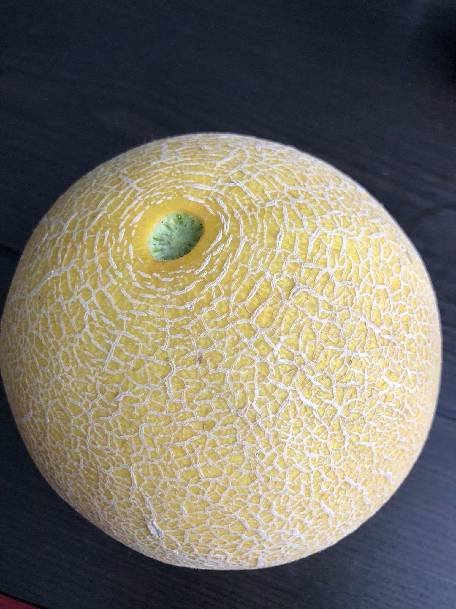 ころたんメロン - Search / X