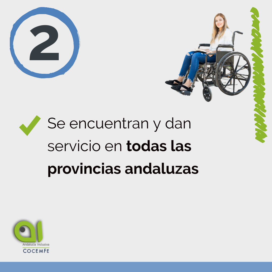 Andalucía Inclusiva tweet media
