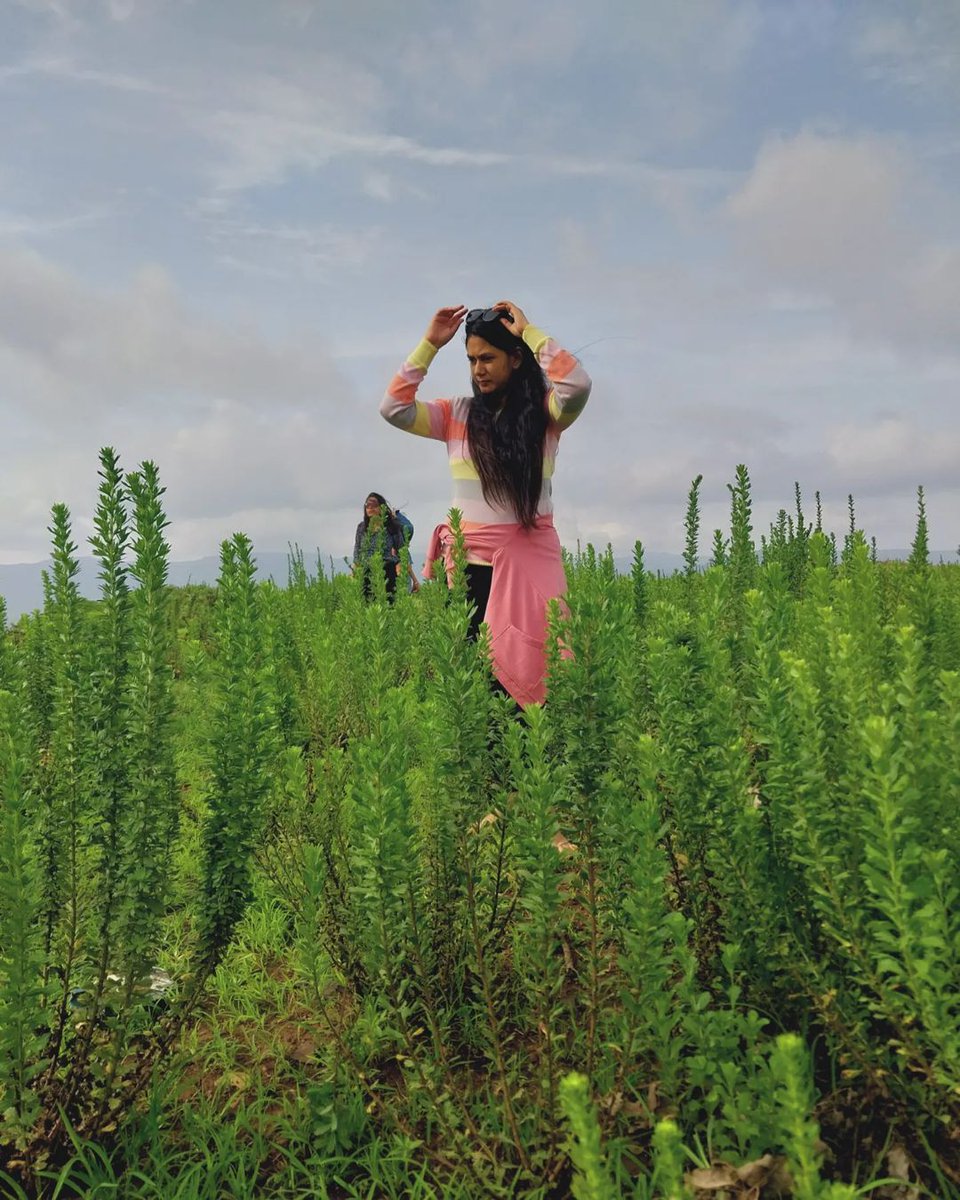 KabrePayal's tweet photo. 🍃 https://t.co/iP1BHkbNFc