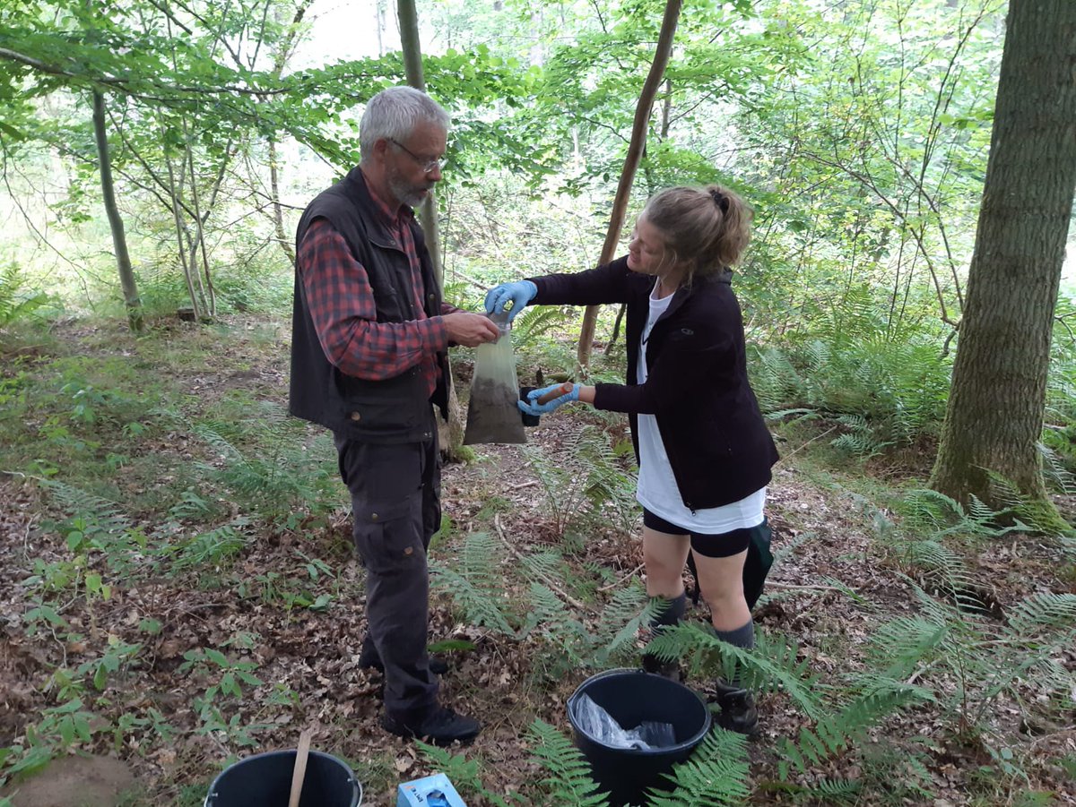Silva Nova (@silvanova_nnf) on Twitter photo FLEUR Network & <a href="/SilvaNova_NNF/">Silva Nova</a> collaboration to investigate the #microbiome of ancient #forest #soils across Europe 🌳🦠 Jürg Brunet from SLU, showed us around in Sweden 🥳 <a href="/sebastiankpr/">sebastiankr</a> <a href="/SaschaHansen12/">SaschaHellmann</a>
<a href="/science_ku/">SCIENCE - KU</a> <a href="/unitartu/">University of Tartu</a> #LeidenBiology FLEUR Network & <a href="/SilvaNova_NNF/">Silva Nova</a> collaboration to investigate the #microbiome of ancient #forest #soils across Europe 🌳🦠 Jürg Brunet from SLU, showed us around in Sweden 🥳 <a href="/sebastiankpr/">sebastiankr</a> <a href="/SaschaHansen12/">SaschaHellmann</a>
<a href="/science_ku/">SCIENCE - KU</a> <a href="/unitartu/">University of Tartu</a> #LeidenBiology