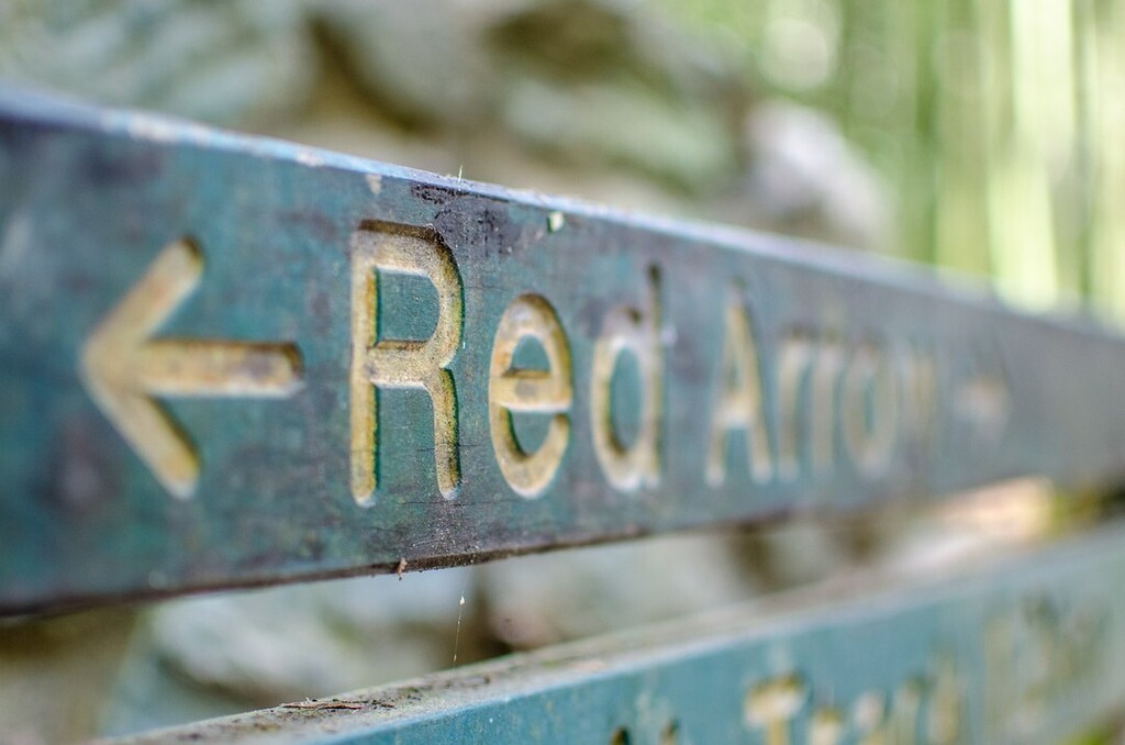 BomboraLodge's tweet photo. The Red Arrow - always a great way to start the week. Join with the Yellow Arrow for a perfect 5km circuit from #bomboralodge 
#run #running #mondaymotivaton #cairns #RedArrow #explorefnq #trailrunning https://t.co/O9HQl5RsqM https://t.co/RBMBsndEMM