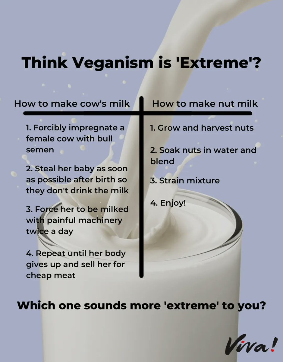 It's that simple! Happy #WorldPlantMilkDay! 🥛 💚