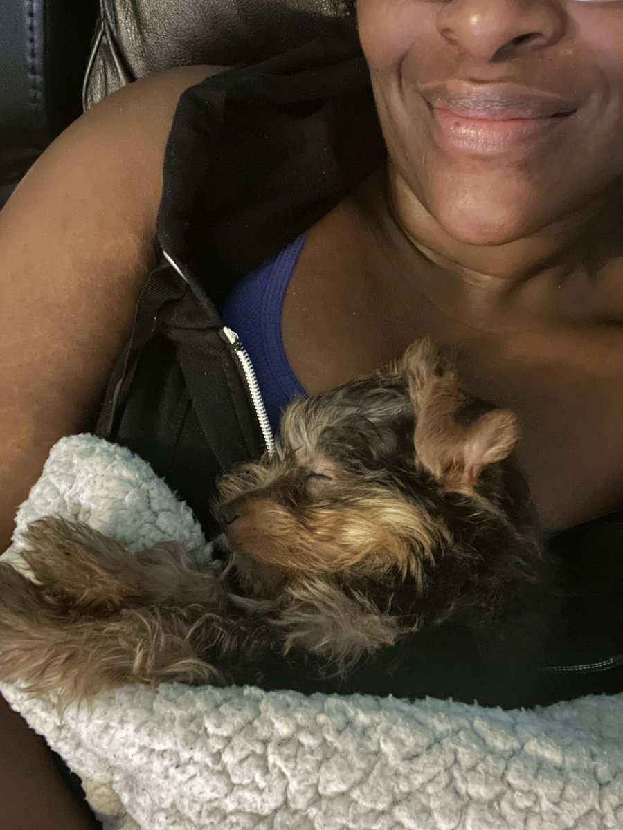 lipdrama's tweet photo. @NoEmmeG Groot is my neighbor’s dog but I visit him, buy him toys and volunteer to watch him bc he’s so cute. 😩 I have a slight allergy but I can’t help myself even tho his scratches had my forearms a little swollen recently so I’m just cautious now. 😬😆 https://t.co/6Ilpi2ZsDx
