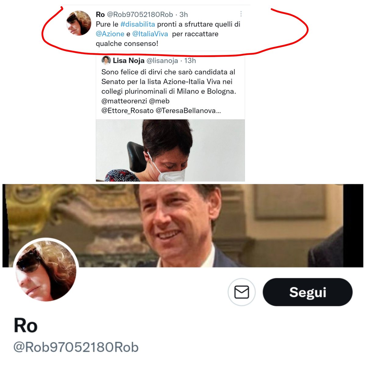 Mi dispiace contraddire la fan di Conte senza nome di Twitter.
Io non sono una disabilità. 
Io sono l'avvocato Lisa Noja.