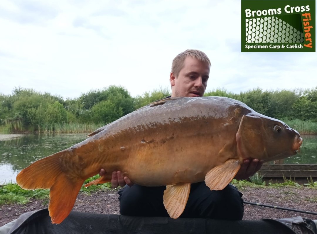 Leon with another of the A Teamers.. and it's The Vessel 25lb 10oz.
We told you he's on a real roll....and there's more to come! 
07740082025 for all bookings and peg availability