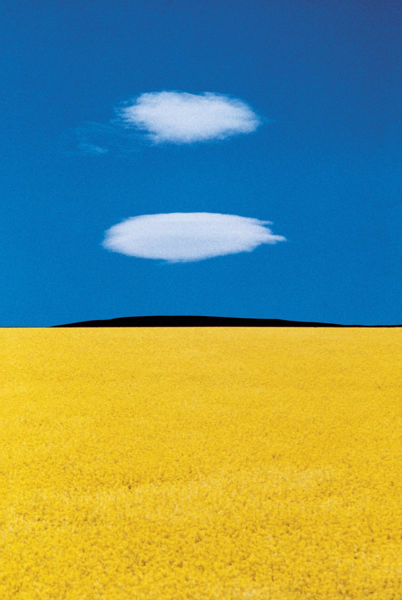 JamesLucasIT's tweet photo. Un dipinto? No, una fotografia che ritrae un campo di grano in Puglia scattata nel 1978 da Franco Fontana. https://t.co/iNDd4HvdBU