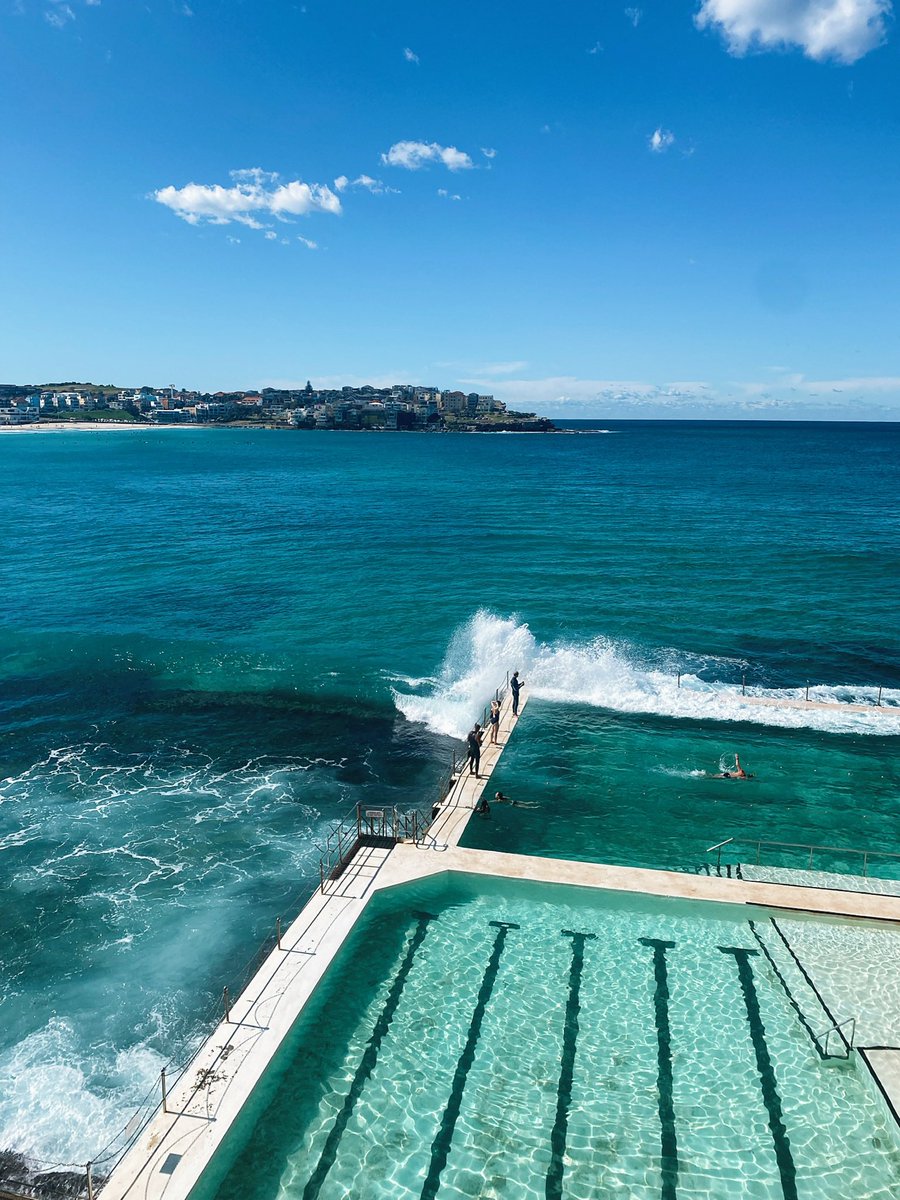 missmartiny1's tweet photo. Australia is something else 🤯 https://t.co/FtPDmrD0Uy