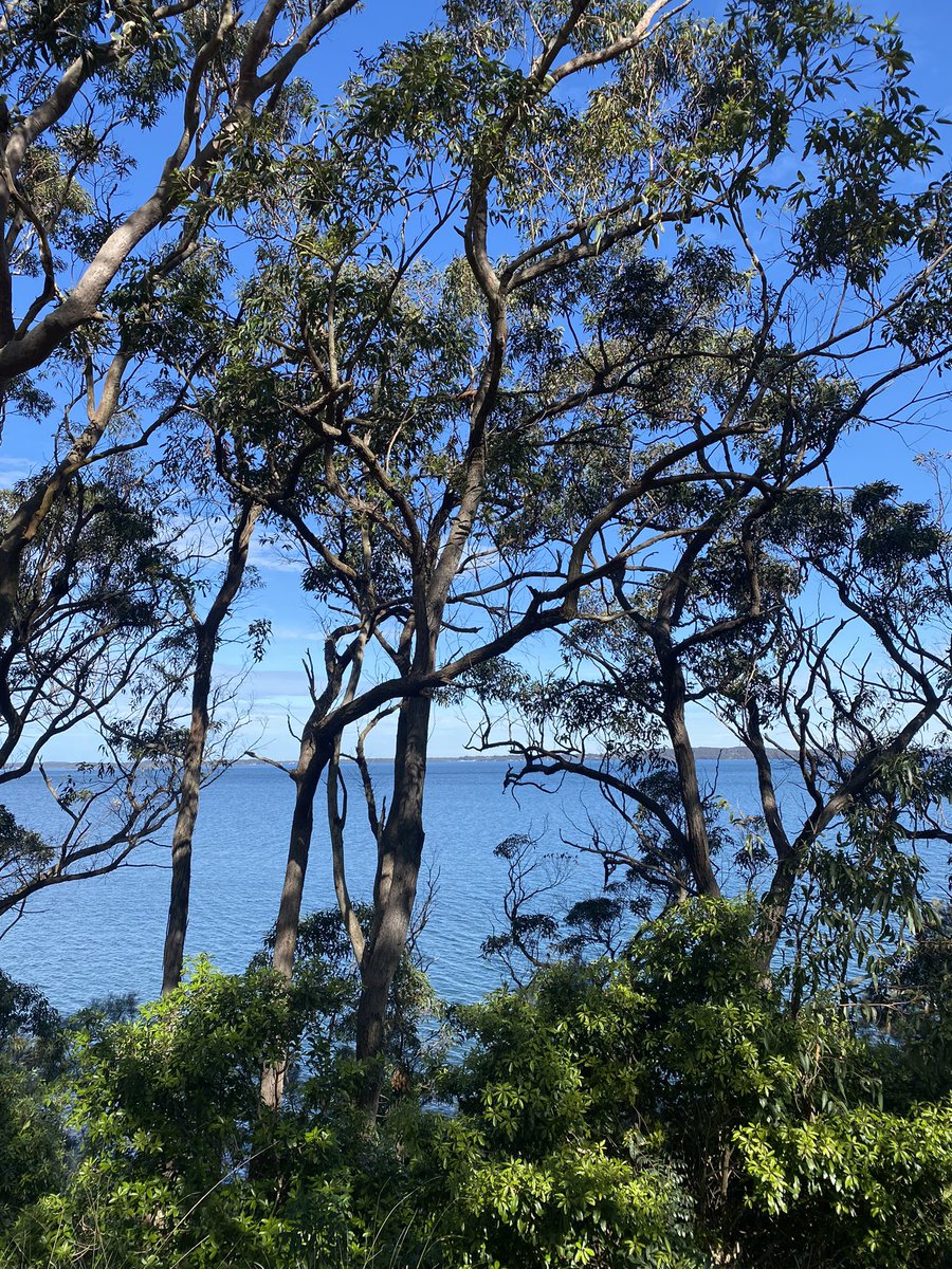missmartiny1's tweet photo. Australia is something else 🤯 https://t.co/FtPDmrD0Uy