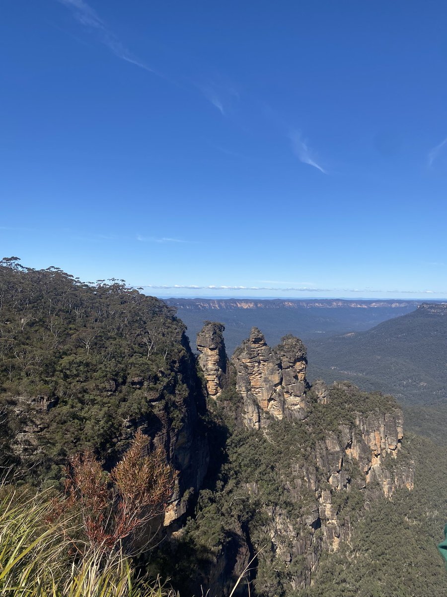 missmartiny1's tweet photo. Australia is something else 🤯 https://t.co/FtPDmrD0Uy