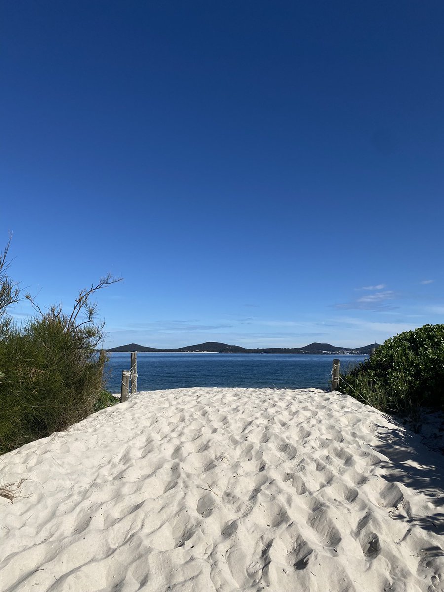 missmartiny1's tweet photo. Australia is something else 🤯 https://t.co/FtPDmrD0Uy