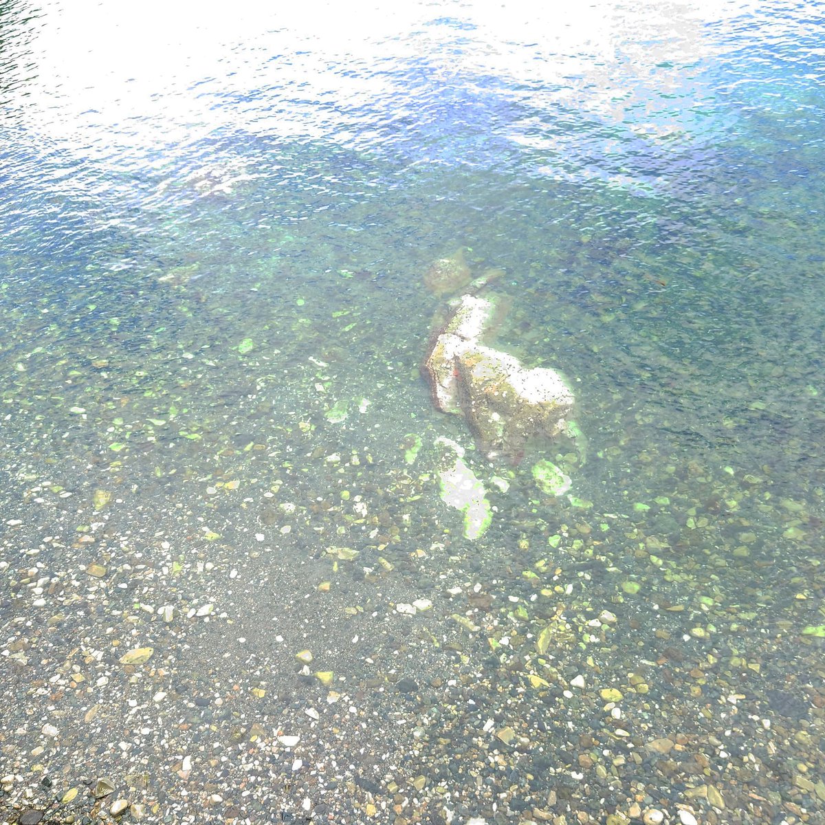 puerama's tweet photo. 浄土ヶ浜 https://t.co/xSxx3LDgIM