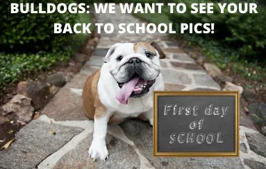 SMFSchools tweet media