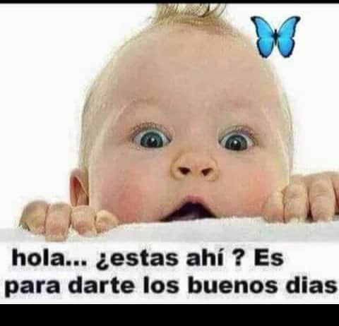 yudithprado24's tweet photo. @CarnetDLaPatria Bueno días para todos https://t.co/GIeAamlXul