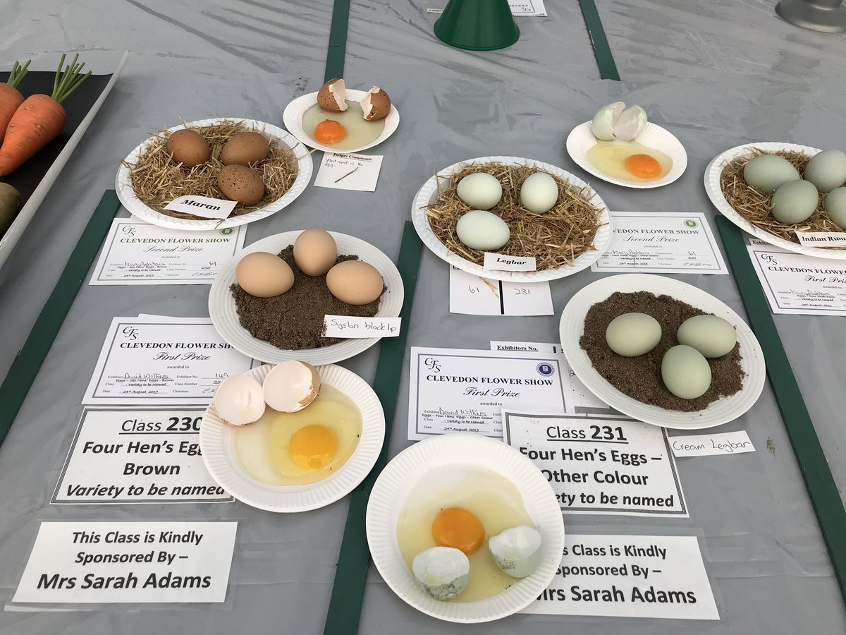 2 days left to get your entry forms in for this years show.
Schedule and entry form is on the website or in the program, which is available at various locations in Clevedon.