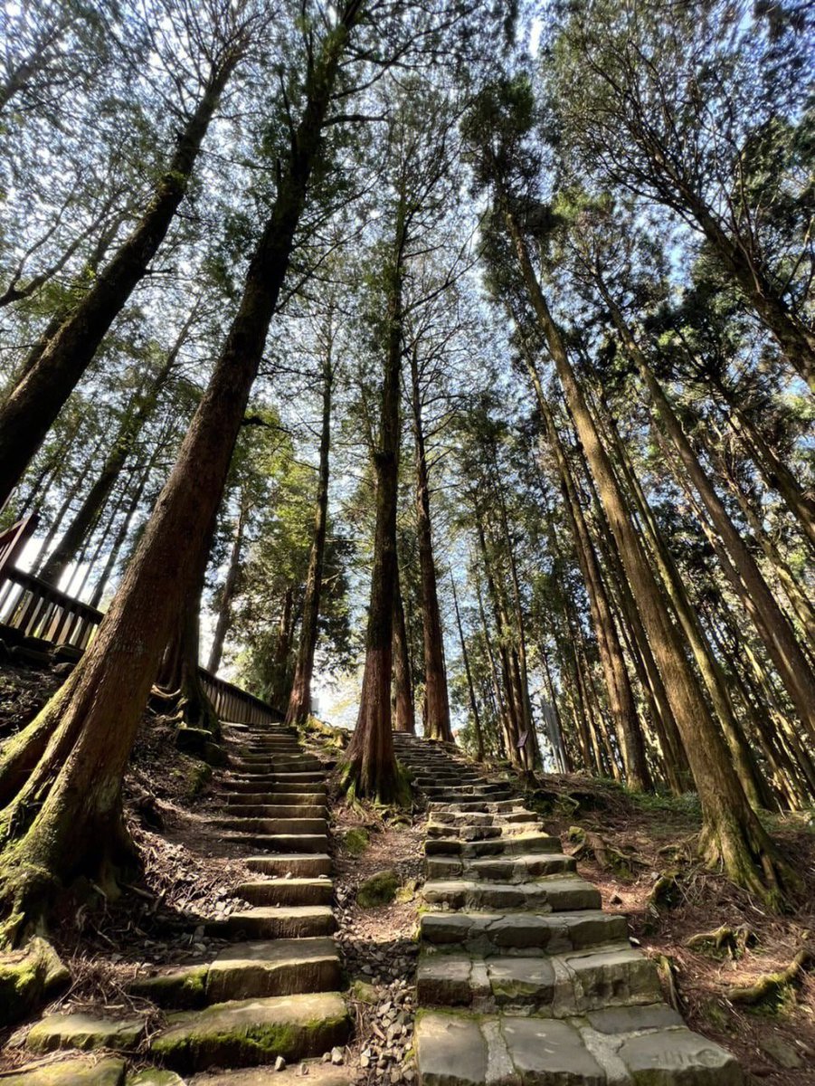 LiJessli3's tweet photo. I love nature https://t.co/j87DH7TaaM