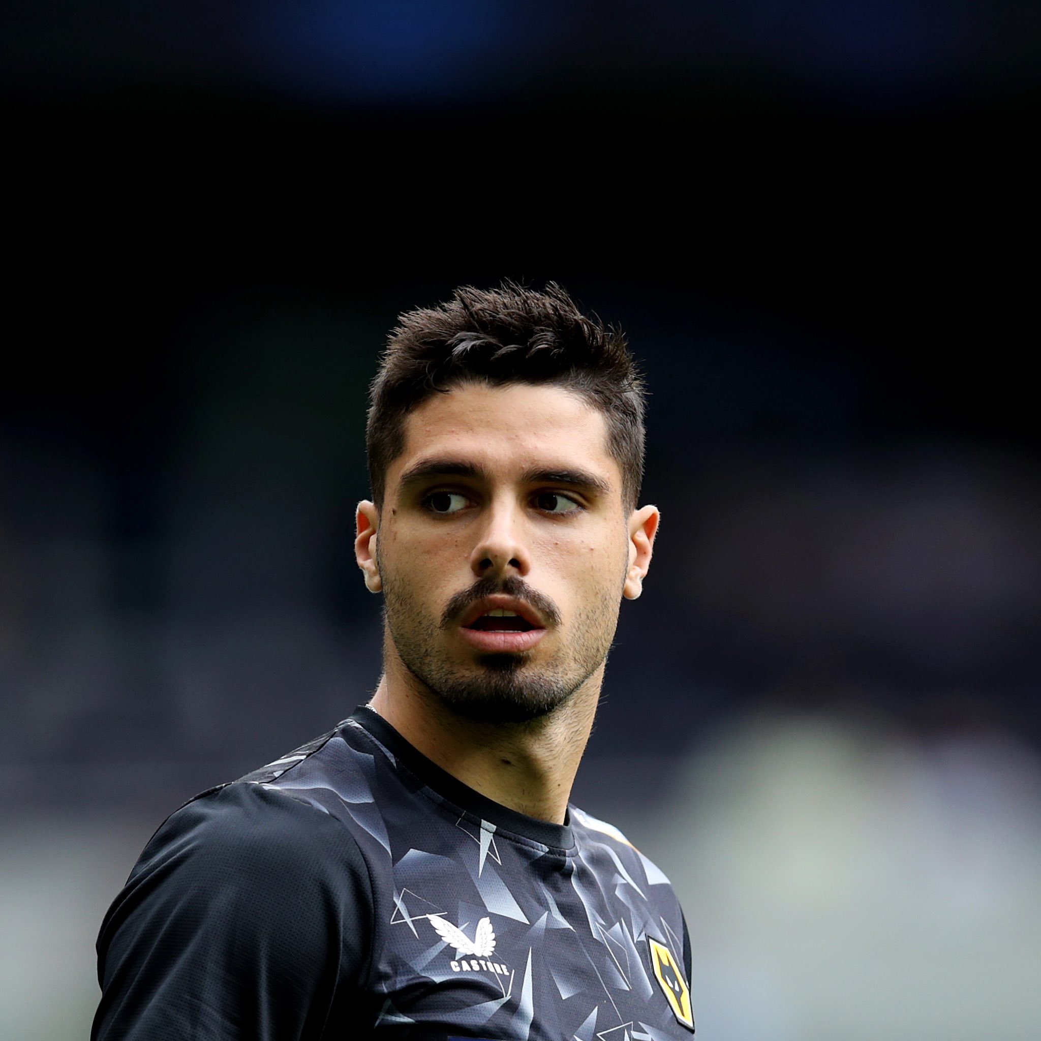 Talking Wolves on Twitter: 