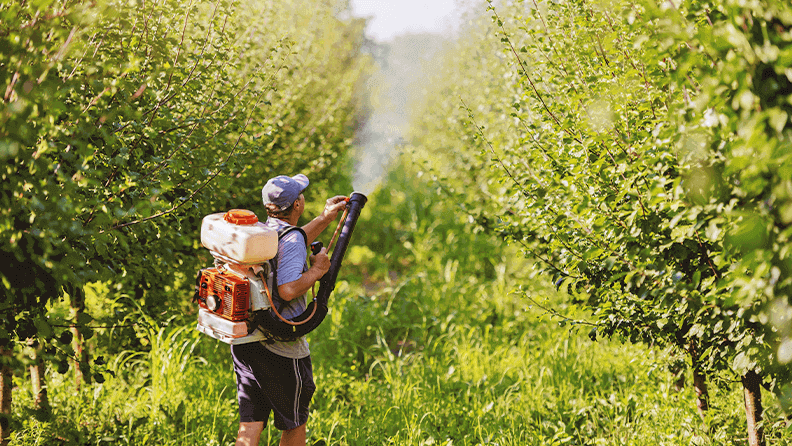💦📉 Europa ya marca el camino de una reducción de los pesticidas sin contemplaciones

🇪🇺 La CE ya ha lanzado una propuesta de reglamento para el uso sostenible de estos productos, que plantea una reducción que llegará al 50 % de la actual

plataformatierra.es/innovacion/red… <a href="/platformtierra/">Plataforma Tierra</a>