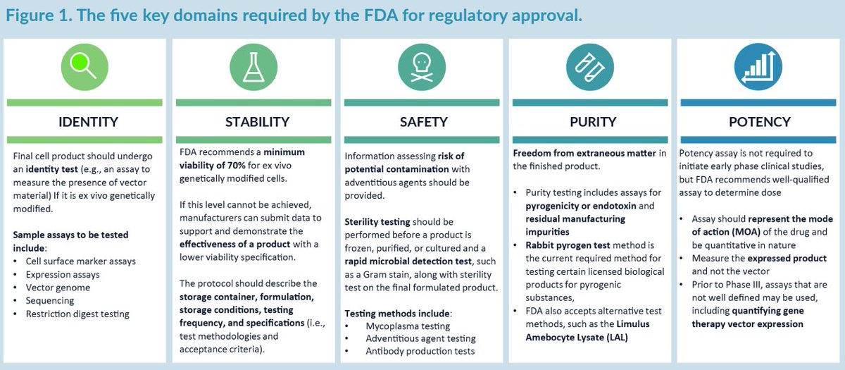 Characterization of advanced therapies: leveraging advanced #analytics to avoid #FDA holds

Find out the key #assay types needed for successful characterization of #cellandgenetherapy

Read the FastFacts poster, or watch the video, here: bit.ly/3AxQmMz

#celltherapy