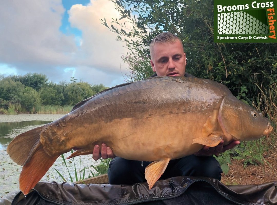 Another for Leon Ridgeways album.  Shoulders at 27lb on the nose this time out. 
07740082025 for all bookings and peg availability