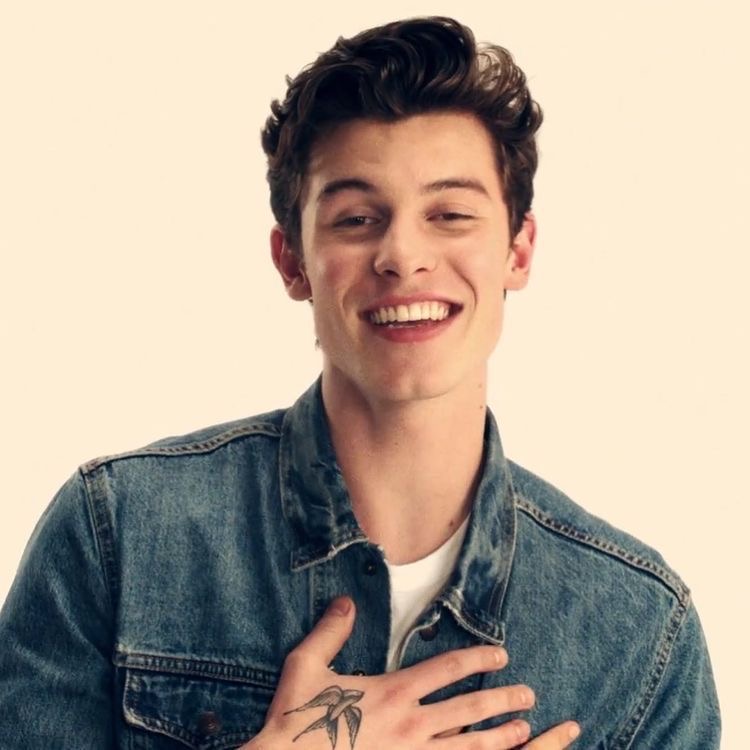 hourly shawn on Twitter: "shawn mendes. https://t.co/68WtgoEJbH" ...