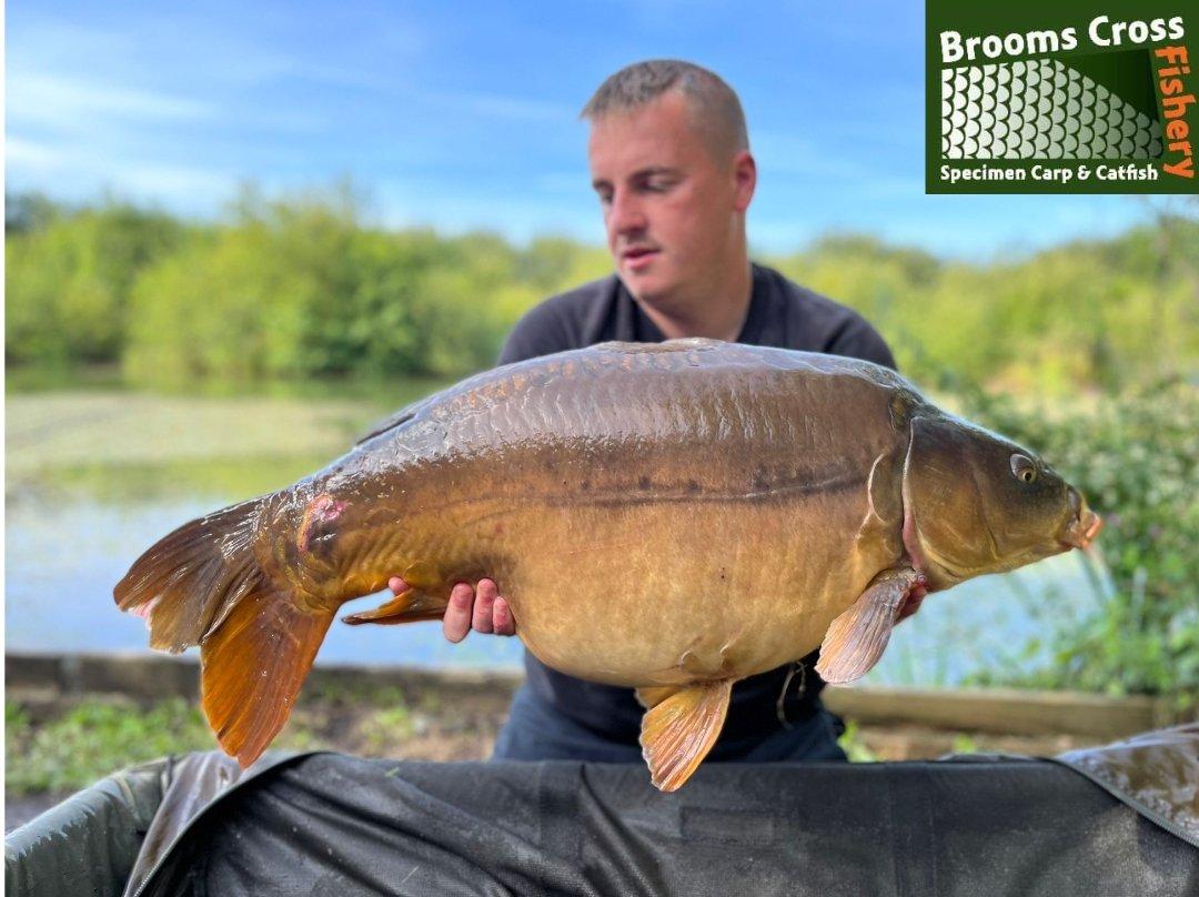 Leon Ridgeway has certainly got amongst them lately.. and what better fish to end the week with, than with  Starburst at 32lb. 
07740082025 for all bookings and peg availability