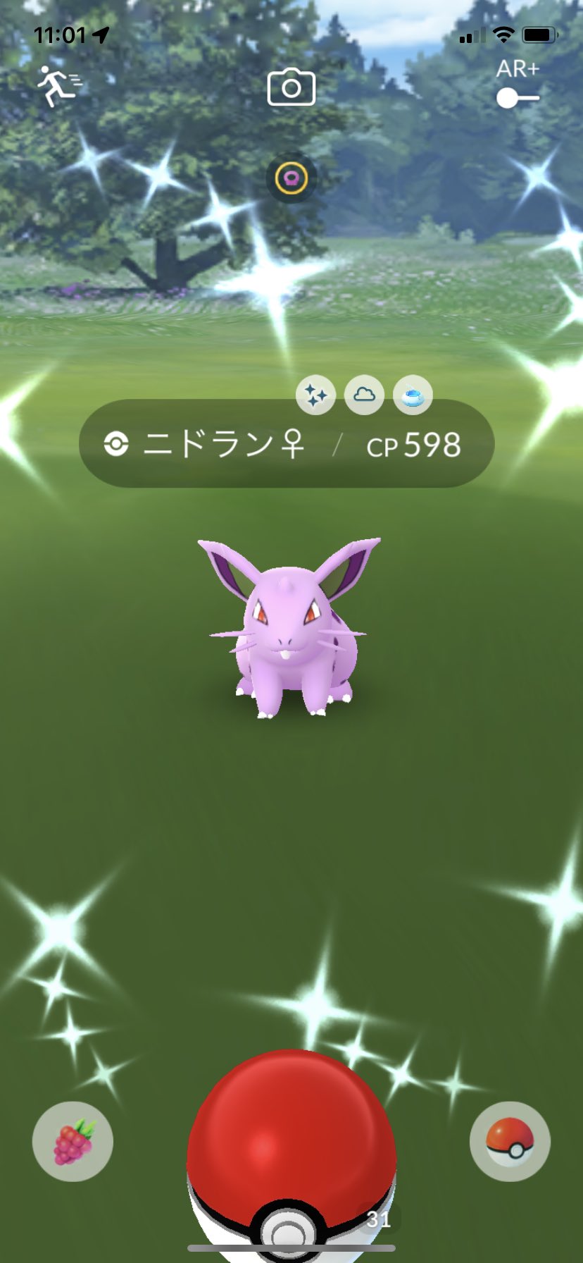 てペペ 僕の今日の色違いは2 そして 個体値96 以上が ニドラン色違い マッギョ色違い アサナン個体値98 マンキー96 サイホーン96 ポケモンgo 色違い Shiny 個体値 Pokemon T Co Nsrkxyjqci Twitter