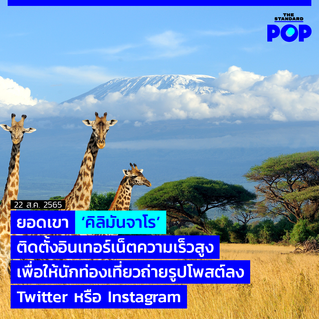 THE STANDARD POP On Twitter the-standard-pop-on-twitter