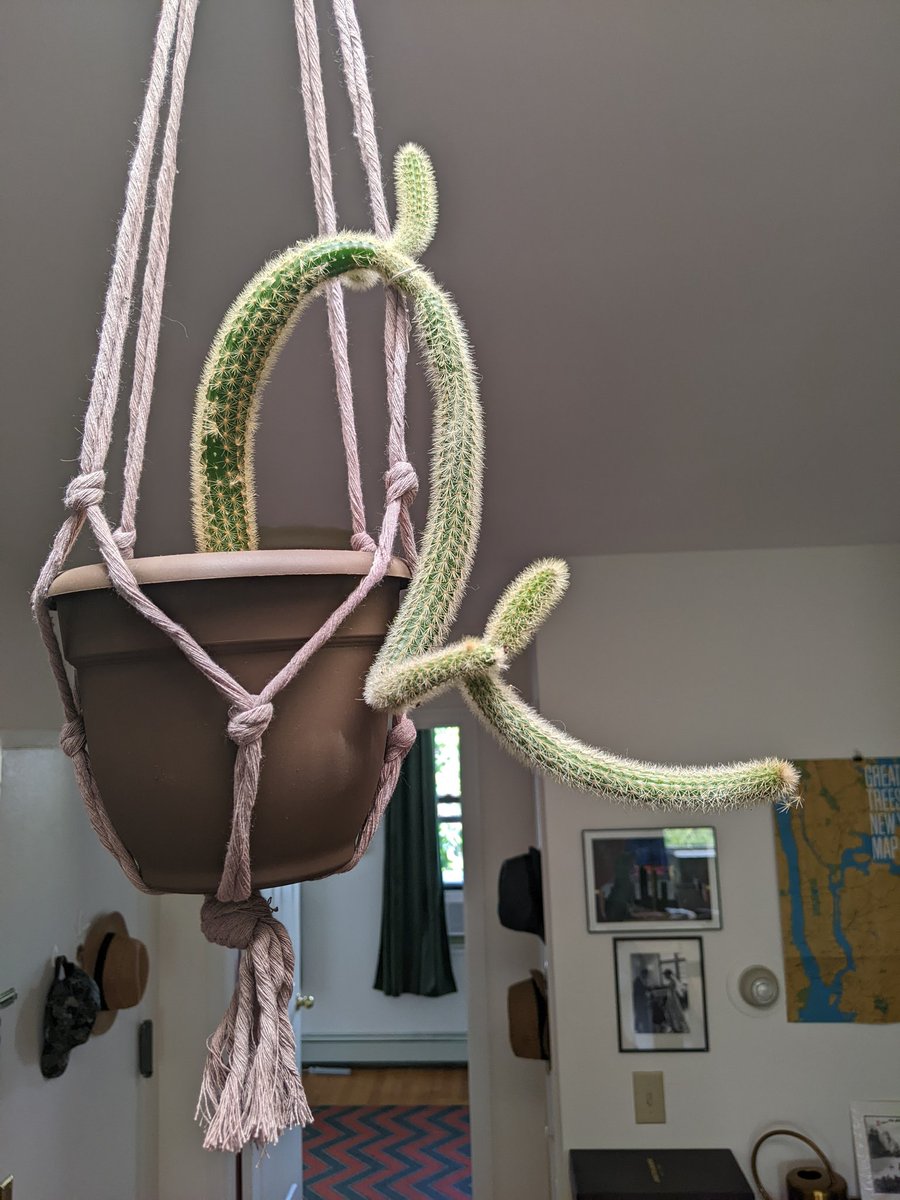 rightbackatchya tweet media