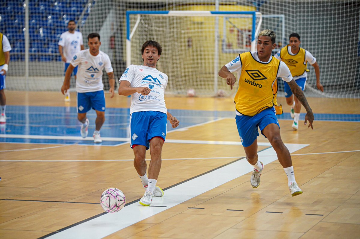 PalmaFutsal's tweet photo. โณ Ultimando los detalles para jugar el miรฉrcoles el primer partido del cursoโฆ
#Tutambรฉjugues
#SOMPalma
#ADNPalmaFutsal
#EuroPalma
#GOPalma
#PalmaFutsal2023 https://t.co/XVB6p8YUA3