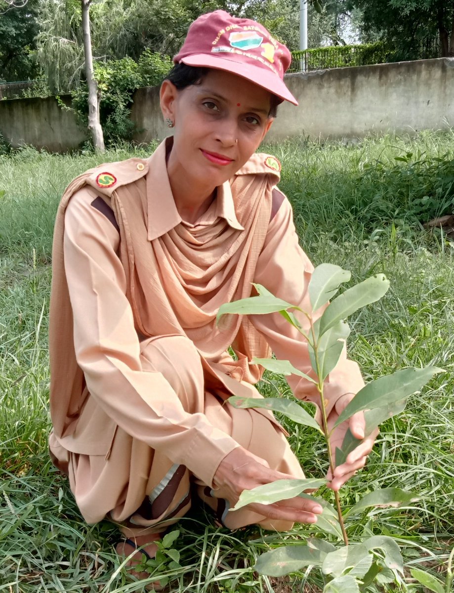 sharmaseema1377's tweet photo. #PapChupakePunyaDikhake #SaintDrMSG #SaintDrGurmeetRamRahimSinghJi #TraindingMusic #TraindingReels #InstaReels Narela Delhi SaintDrMSG #Birthday Celebration with #MegaTreePlantation inspretion nd teachings of Saint Dr Gurmeet Ram Rahim Singh Ji Insan
https://t.co/7MNLB5Hvmc https://t.co/aktfghCNTz