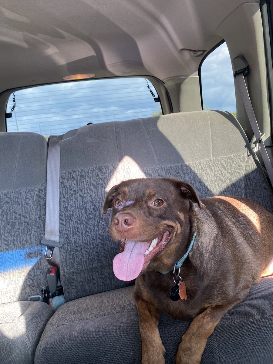 Shirlyn Davenport tweet media